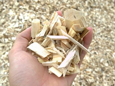 Wood chips 1