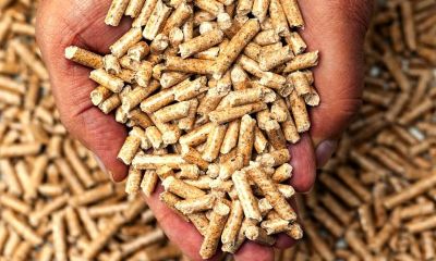 Wood pellets 1