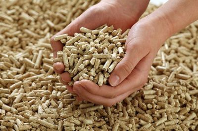 Wood pellets 2