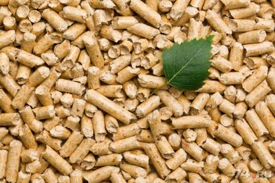 Wood pellets 3